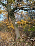 Obr: 2762.jpg