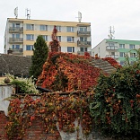 Obr: 2768.jpg