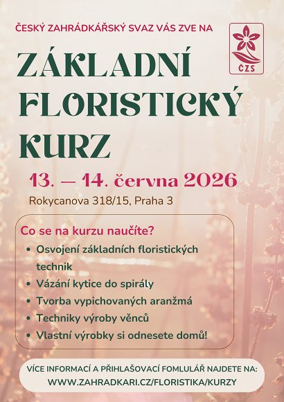 Obr: 1211.jpg