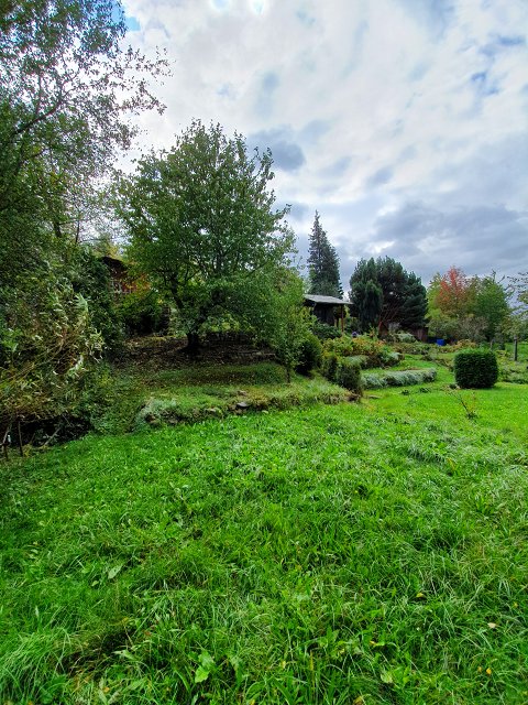 Obr: 14275.jpg