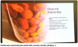 Obr: 585