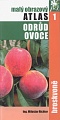 obr