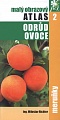 obr