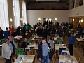 Obr: 2574.jpg