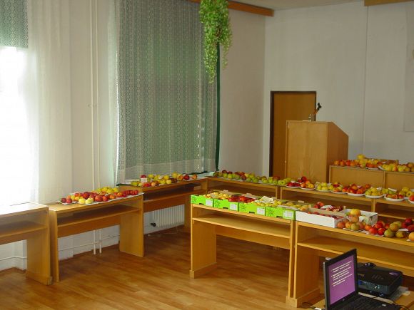 Obr: 703.jpg