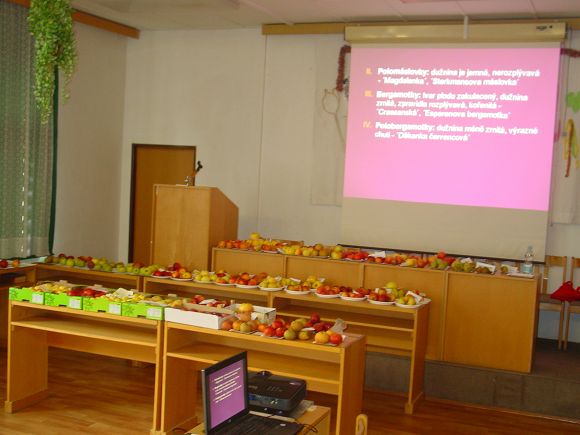 Obr: 704.jpg