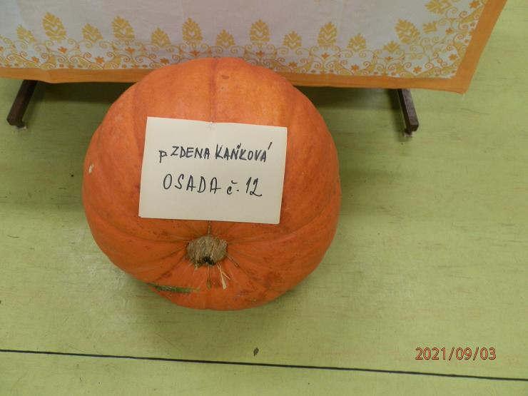 Obr: 4632.jpg