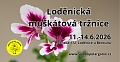 Obr: 2719