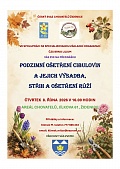 Obr: 2749