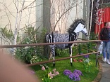 Obr: 48099.jpg