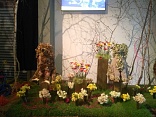 Obr: 48102.jpg