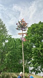 Obr: 48783.jpg