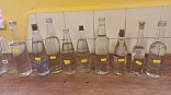 Obr: 48788.jpg