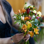 Obr: 51900.jpg