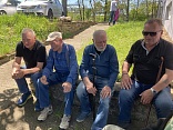Obr: 52757.jpg