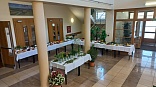 Obr: 53348.jpg