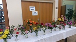 Obr: 53350.jpg